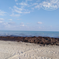 фото из отзыва ID 2087076