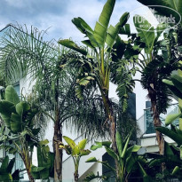 фото из отзыва ID 2087080