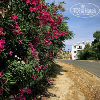 фото из отзыва ID 2087080