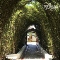 фото из отзыва ID 2087047