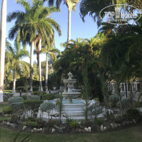 фото из отзыва ID 2087047