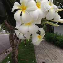 фото из отзыва ID 2087143