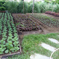 фото из отзыва ID 2087143