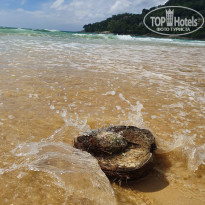 фото из отзыва ID 2087155