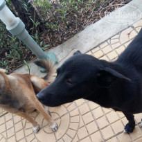 фото из отзыва ID 2087251