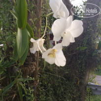 фото из отзыва ID 2087094