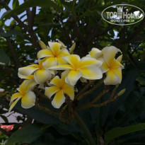 фото из отзыва ID 2087094