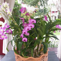 фото из отзыва ID 2087094