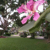 фото из отзыва ID 2087094