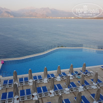 фото из отзыва ID 2086134