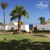 фото из отзыва ID 2086425