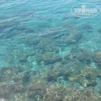 фото из отзыва ID 2087378