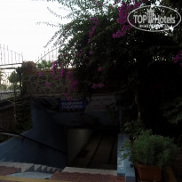 фото из отзыва ID 2087210