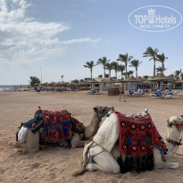 фото из отзыва ID 2087264