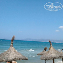 фото из отзыва ID 2087452