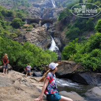 фото из отзыва ID 2086638