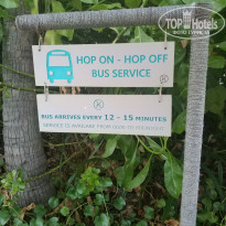 фото из отзыва ID 2087592