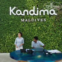 фото из отзыва ID 2087592