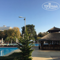 фото из отзыва ID 2087617