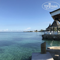 фото из отзыва ID 2087047