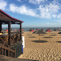 фото из отзыва ID 2087636