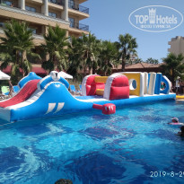 фото из отзыва ID 2087663