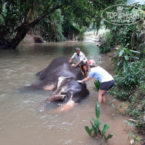 фото из отзыва ID 2087688