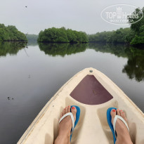 фото из отзыва ID 2087688