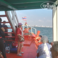 фото из отзыва ID 2087708