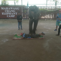 фото из отзыва ID 2087708