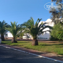 фото из отзыва ID 2087672