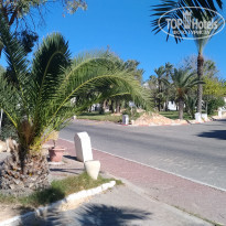 фото из отзыва ID 2087672