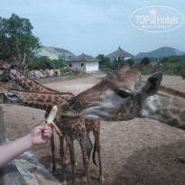 фото из отзыва ID 2087769