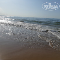 фото из отзыва ID 2087788