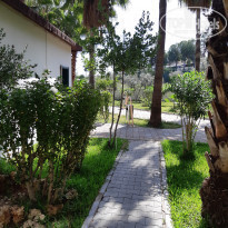 фото из отзыва ID 2087788