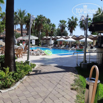 фото из отзыва ID 2087788