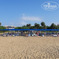 фото из отзыва ID 2087788