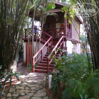 фото из отзыва ID 2087826