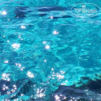 фото из отзыва ID 2087842