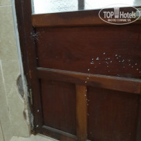 фото из отзыва ID 2087884