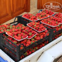 фото из отзыва ID 2087898