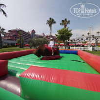 фото из отзыва ID 2087852