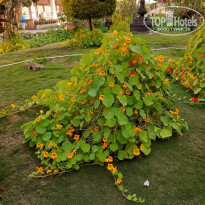 фото из отзыва ID 2088129