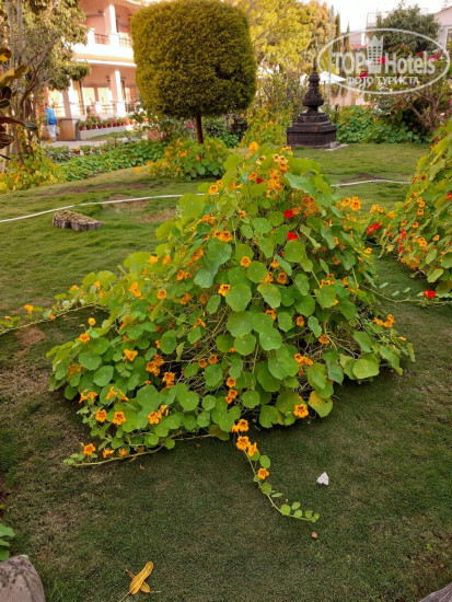 Mount Kailash Resort