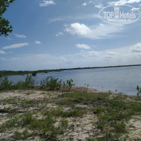 фото из отзыва ID 2088148