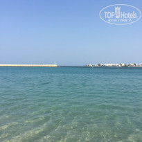 фото из отзыва ID 2088183