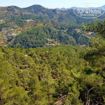 фото из отзыва ID 2088263