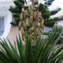 фото из отзыва ID 2088355