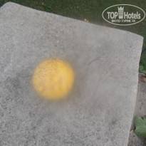 фото из отзыва ID 2088634