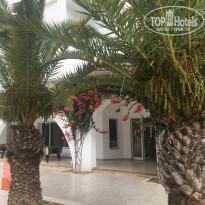 фото из отзыва ID 2084417